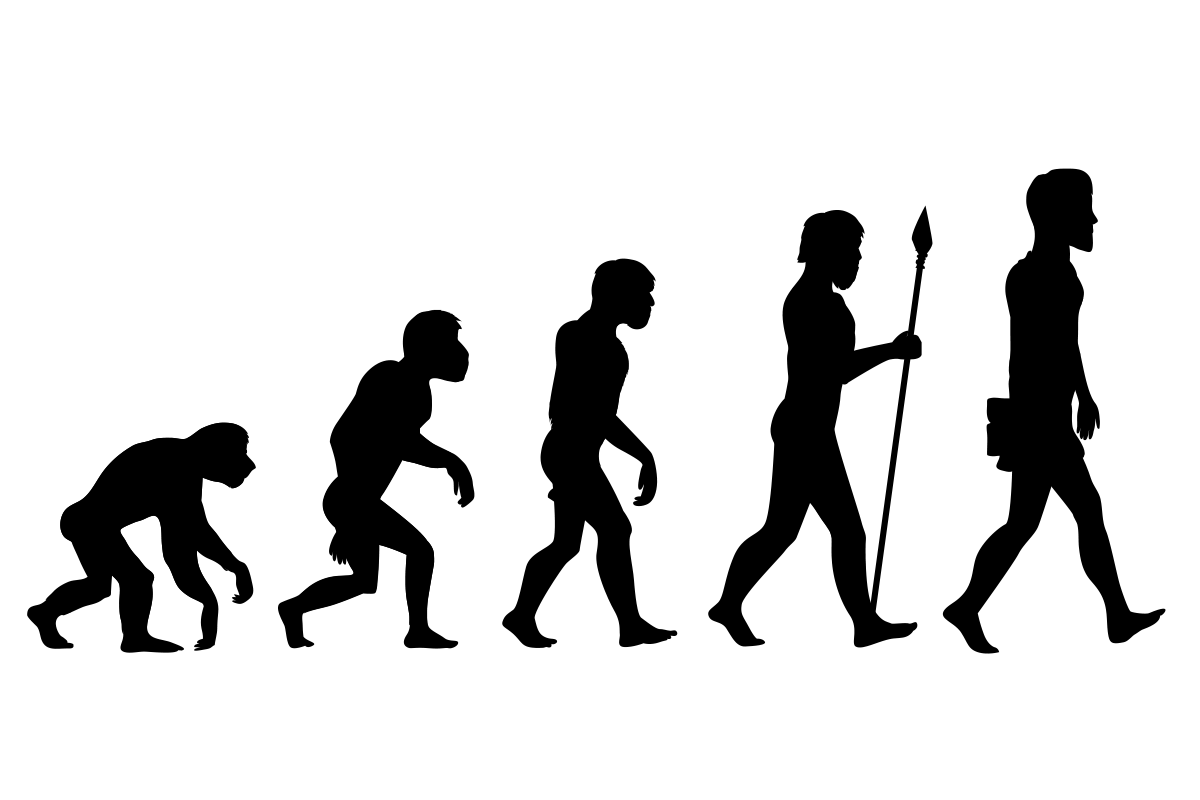 演化成現代人類的人族靈長類大腦，在過去的一百五十萬年間，增大了將近三倍！