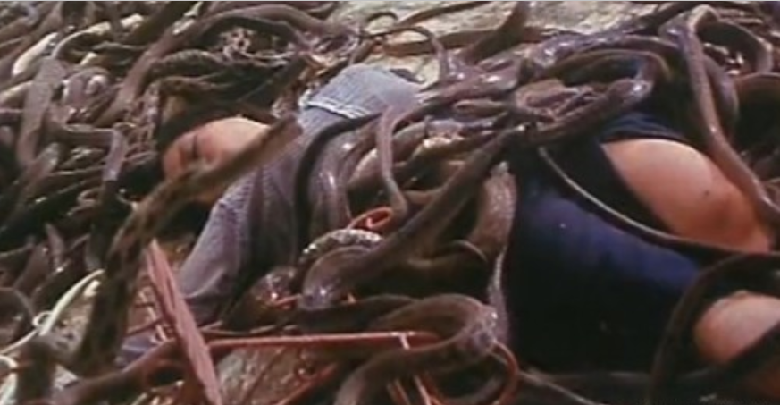「人蛇大戰」是國片史上罕見的動物驚悚電影。圖／翻攝自YouTube