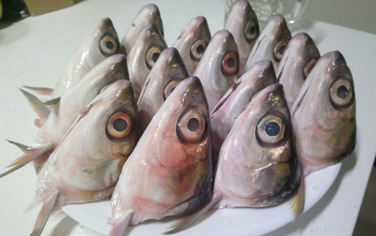 傳統市場新鮮的15顆虱目魚頭。記者卜敏正／攝影
