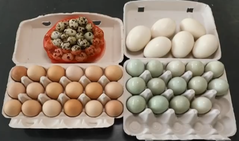四種蛋。取自微博