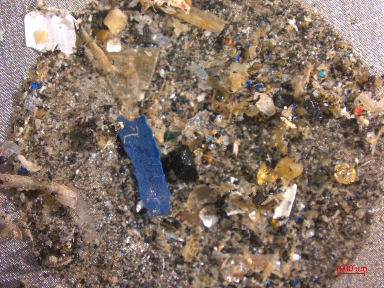 沙灘沙礫中的微型塑膠。圖／環保署提供