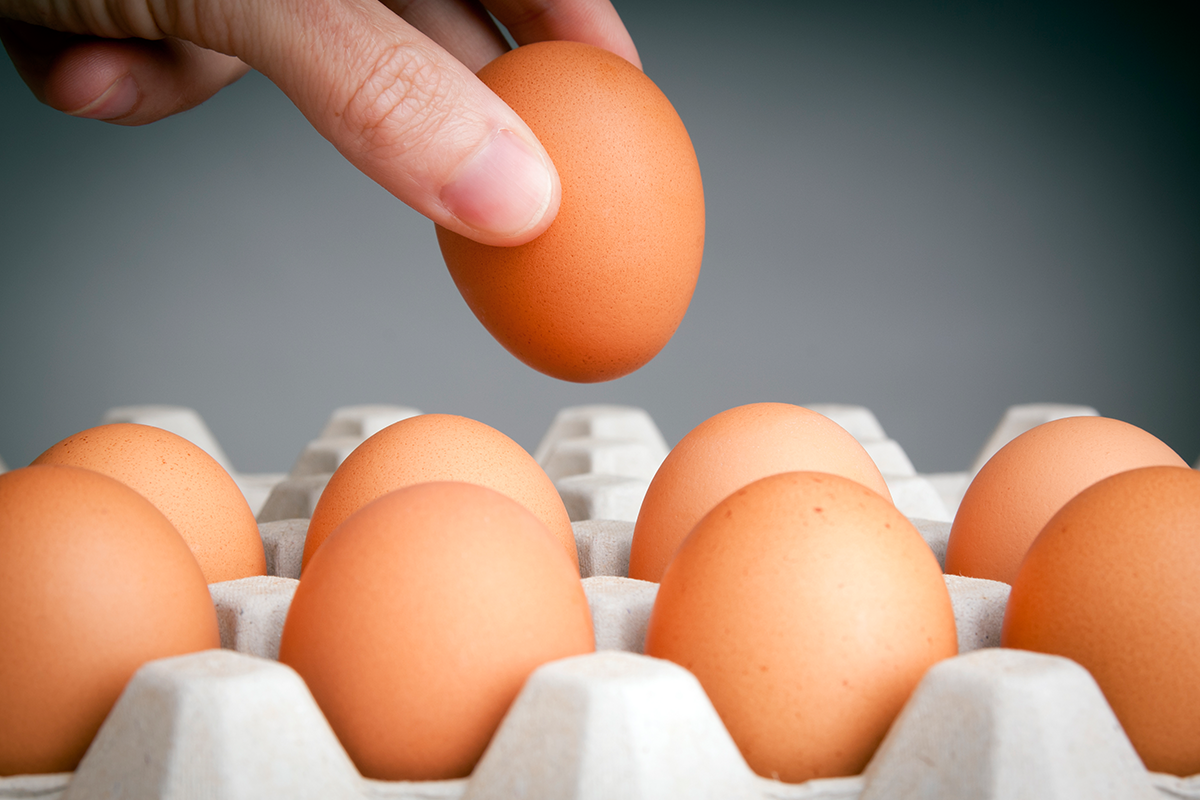 細菌、病毒、酵母菌，以及真菌都能感染鳥蛋。雞蛋中最常出現的細菌是沙門氏菌（Salmonella），是有可能讓人致命的菌。