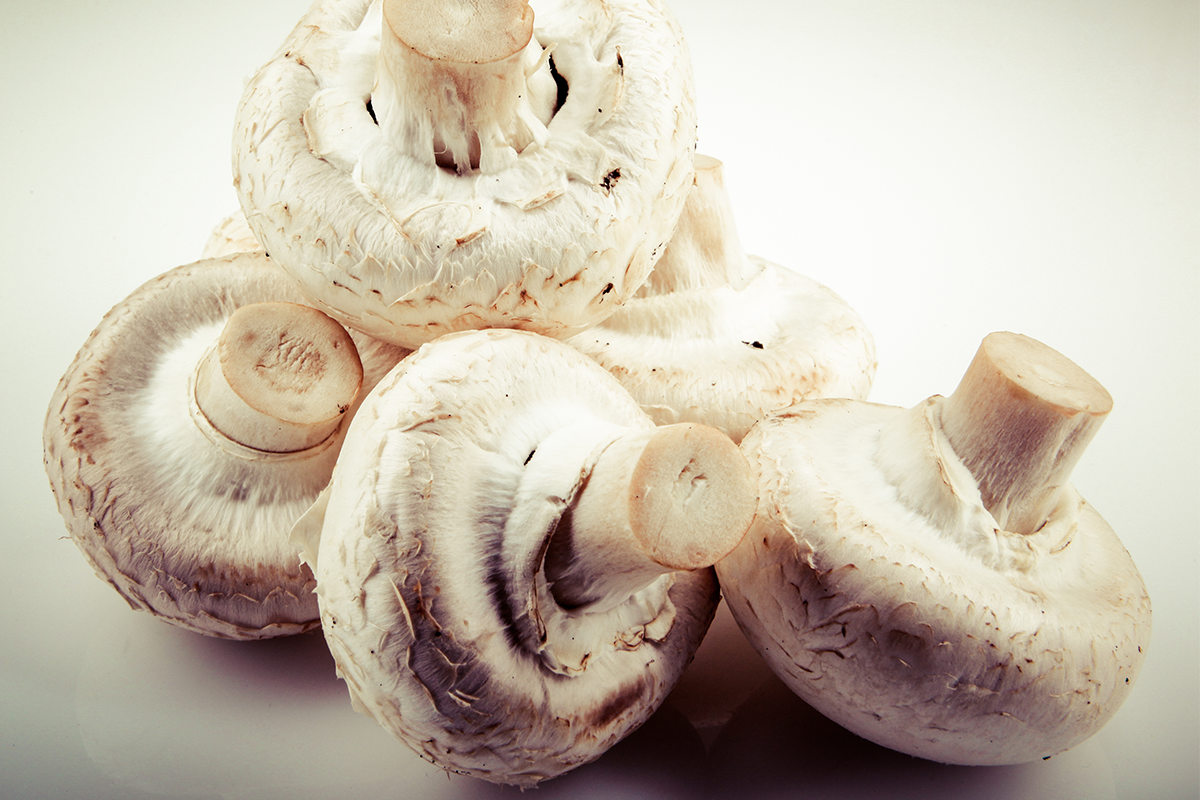 近期新加坡1項研究指出，每星期吃2次以上的蘑菇，可防止60歲以後記憶衰退和語言障礙，研究刊登在《阿茲海默症雜誌》（Journal of Alzheimer's Disease）。