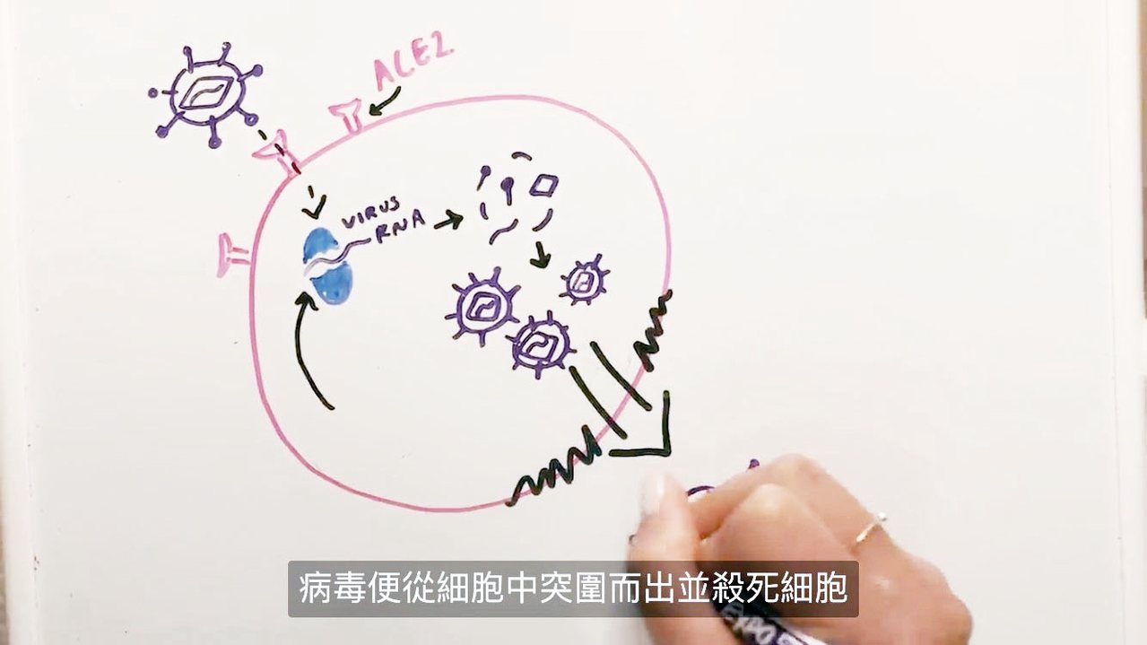 中研院院長廖俊智與女兒聯手完成一部解說新冠肺炎的影片。