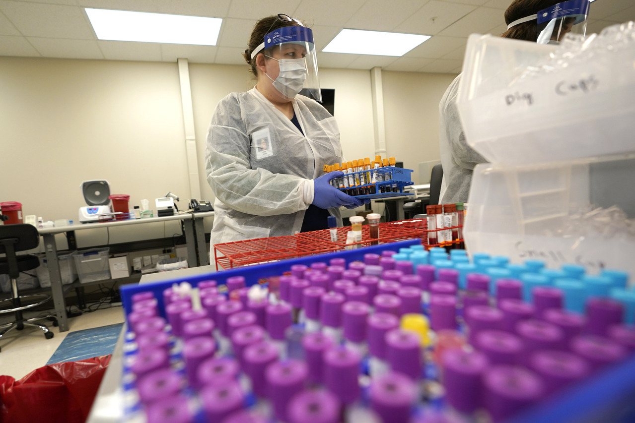 德州一間實驗室的技術人員正在整理抗體檢測採樣。美聯社