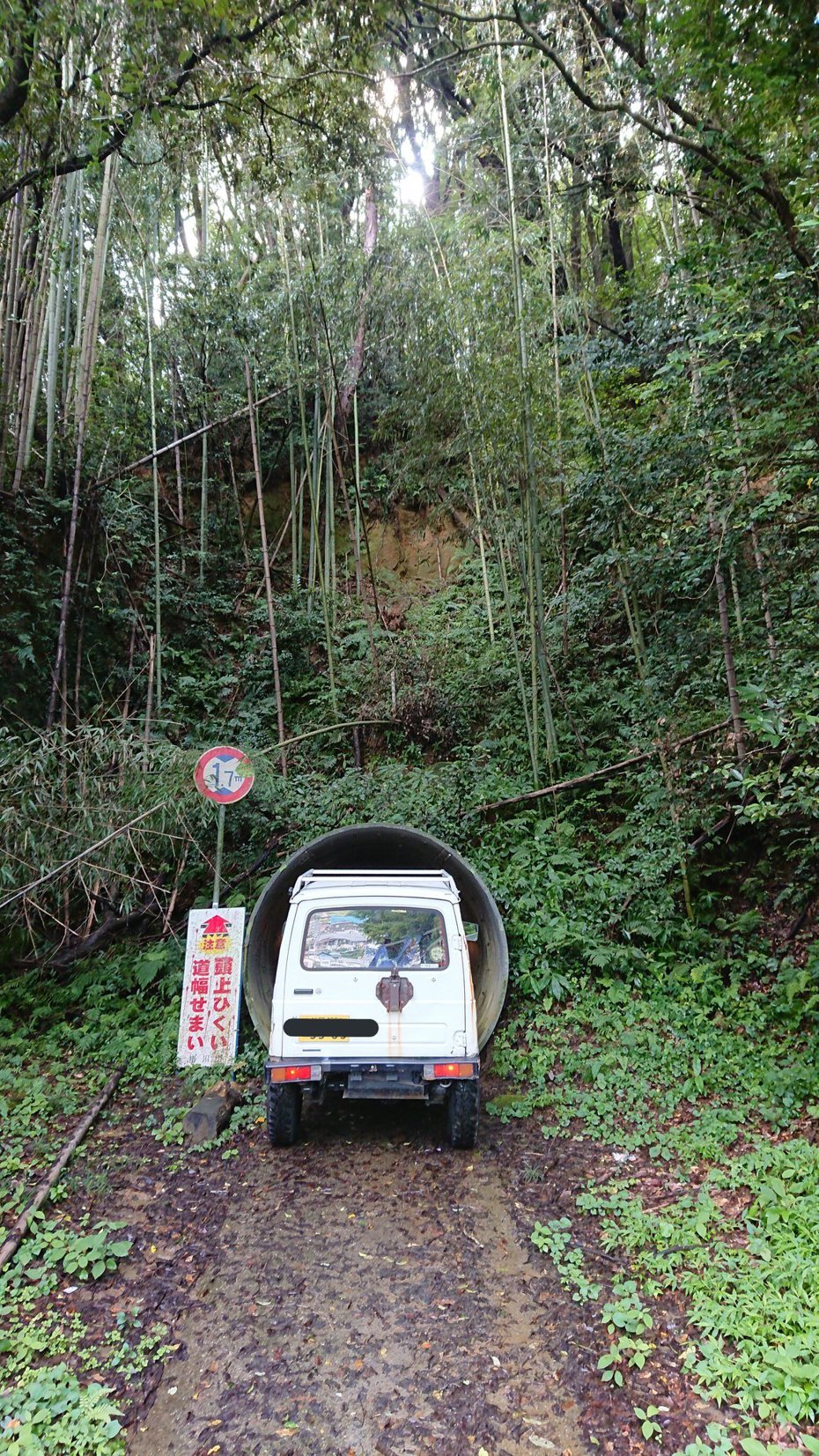 一位日本網友藉由GOOGLE導航，竟意外撞見一個有如「神隱少女」般的狹小隧道。圖擷取自twitter