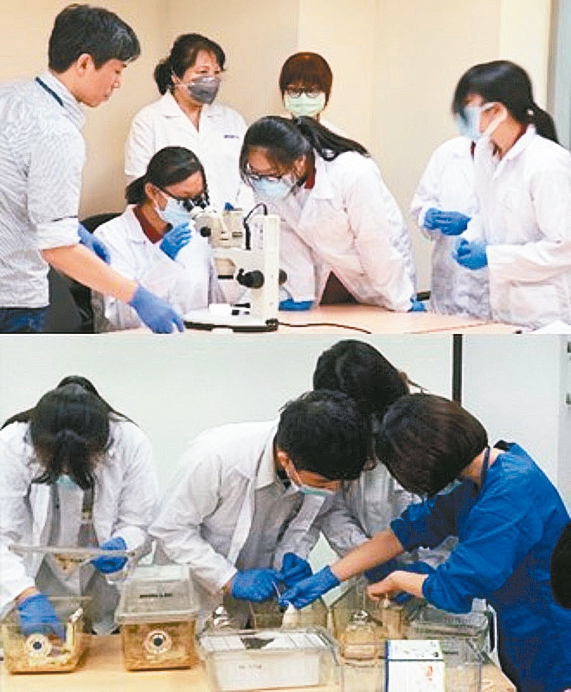 國衛院近年推廣科普營，讓學子們透過實驗愛上科學。圖／國家衛生研究院提供