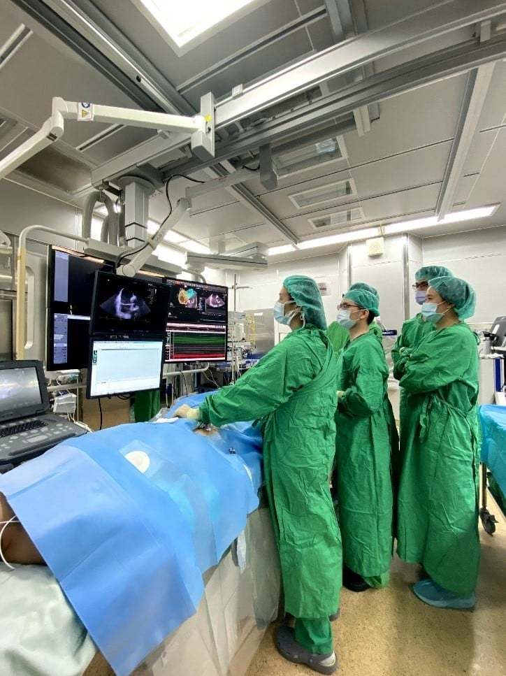 台大醫院電生理治療團隊正使用心臟內超音波為病患進行零輻射心房顫動電燒手術。圖／台大醫院提供
