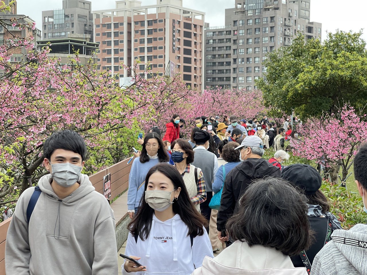 新冠疫情未歇，台灣民眾已經兩年無法暢快出國遊玩。本報資料照片