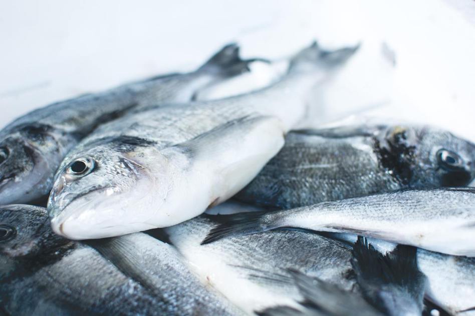 有35%的漁獲在上餐桌之前就被浪費或丟棄了。 圖／CHUTTERSNAP／Unsplash