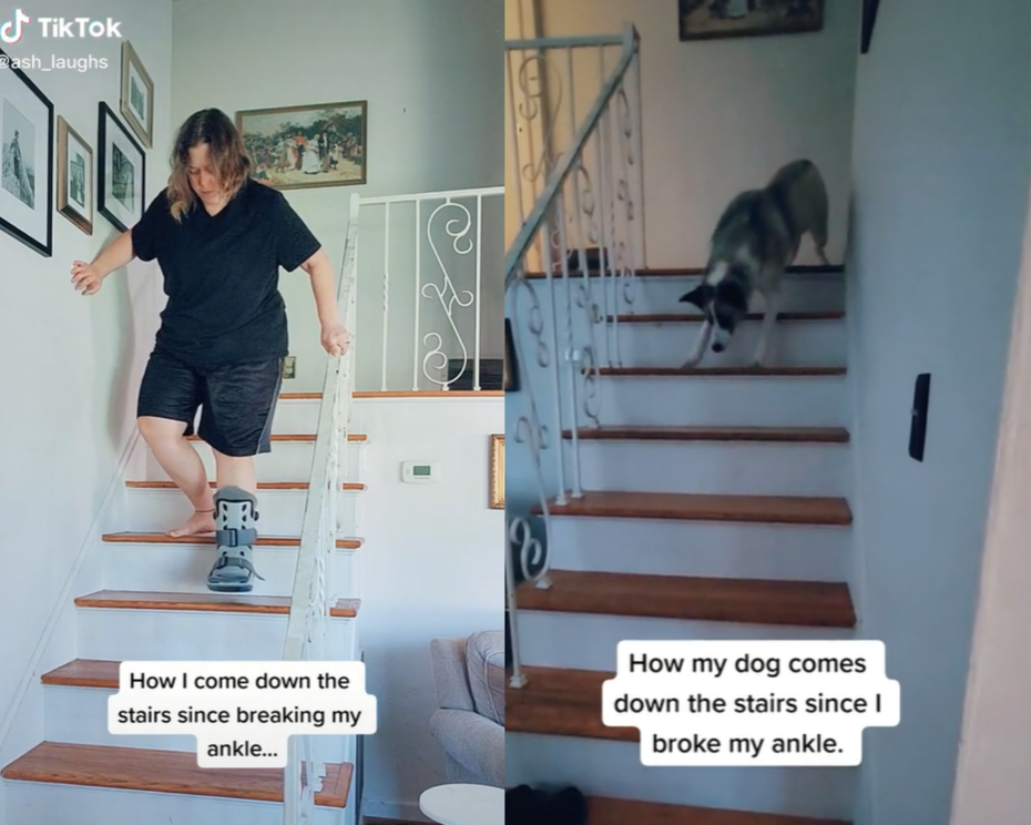 國外一名飼主將狗狗模仿自己下樓動作的影片分享到社群上。圖／@ash_laughs