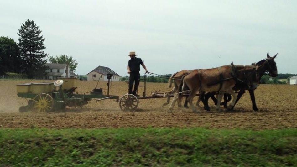 ▲ 阿米希人 Amish 過著傳統生活