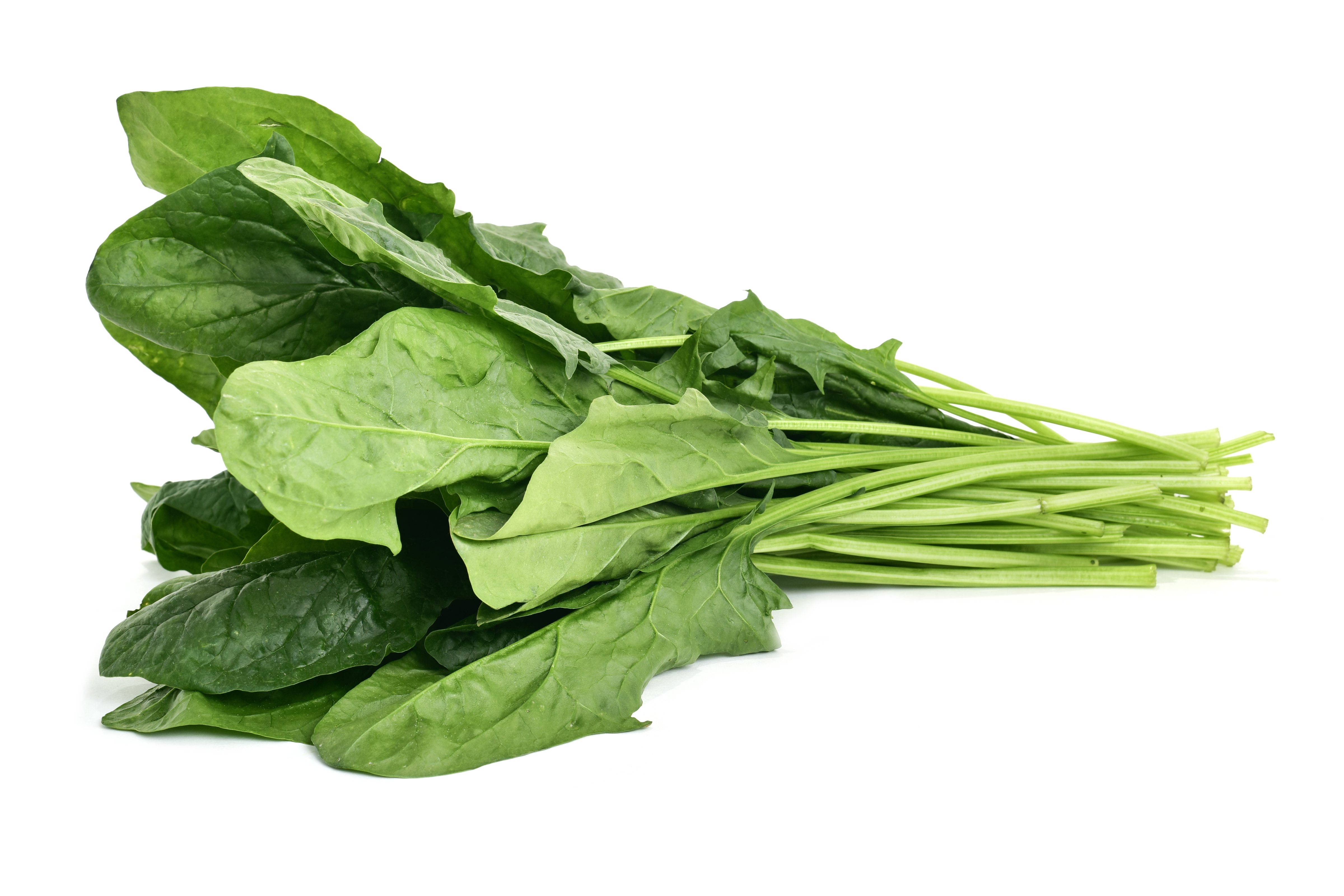 菠菜維他命C含量在蔬菜類中名列前茅，因此有「蔬菜之王」稱號。 圖/123RF
