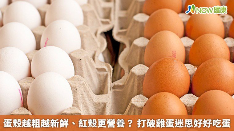 ▲蛋殼顏色主要與雞隻品種及遺傳有關，而營養取決於雞隻的飼料供應與健康狀況，所以褐殼蛋與白殼蛋的營養成份並沒有差異。（圖／NOW健康製作；圖片來源／ingimage）
