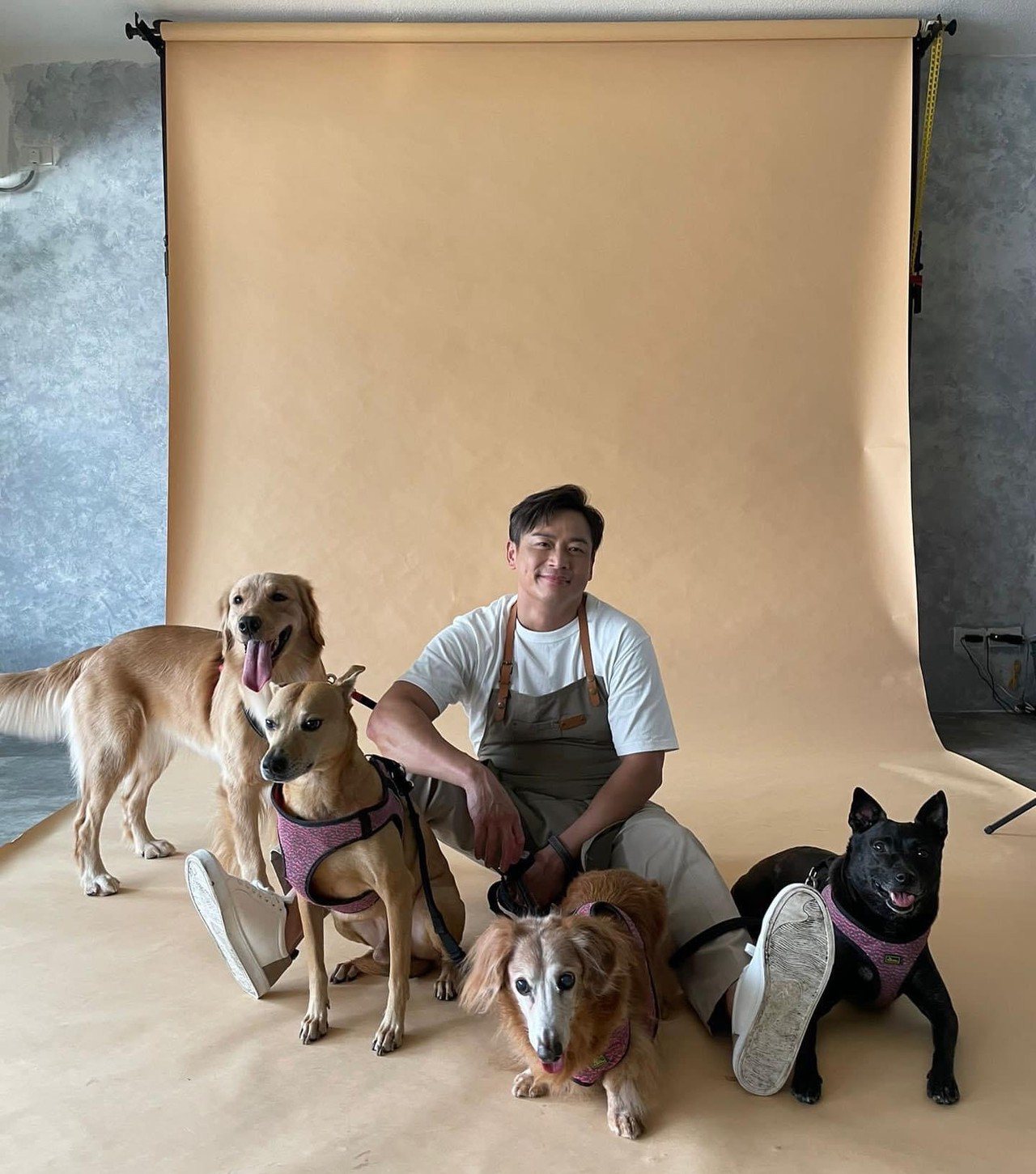 江宏恩如今有四隻狗圍繞在身旁。圖／摘自臉書