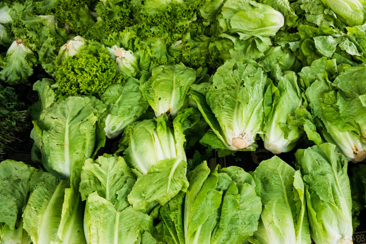 膳食硝酸鹽主要是來自蔬菜，尤其是綠葉蔬菜。