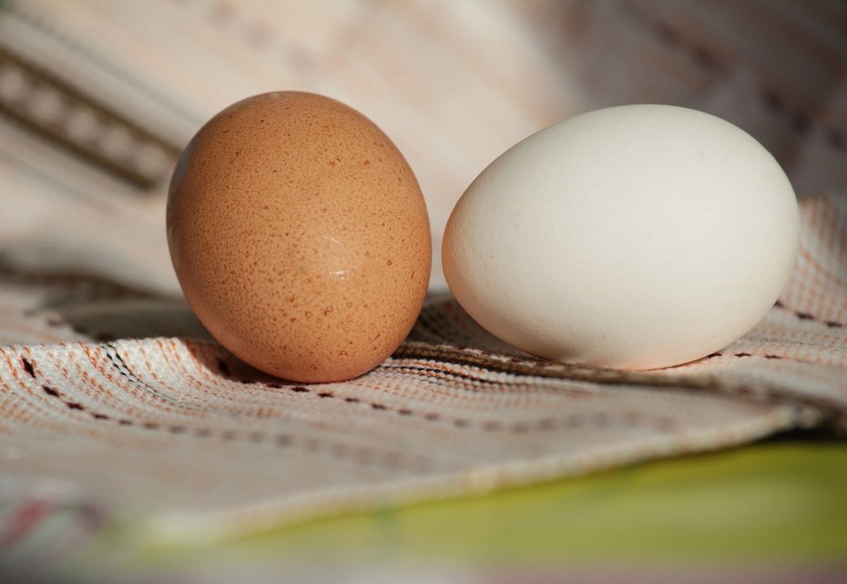 有民眾剝開雞蛋發現「蛋中蛋」。雞蛋示意圖/Ingimage