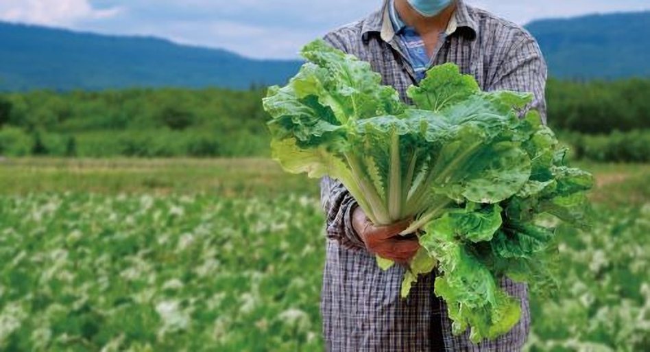 永續食材指南鼓勵與生態共好、友善耕作及強調本土的農業生產方式。