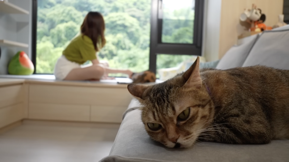 YouTube 頻道「真奈特每天都在瞎忙」分享兩人兩貓在15坪的房子的住宅經驗。（圖／翻攝自YouTube頻道「真奈特每天都在瞎忙」）