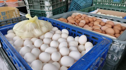 傳端午節前蛋價有望調降2元，北市蛋商公會表示，目前尚未決定還在討論中。聯合報系資料照