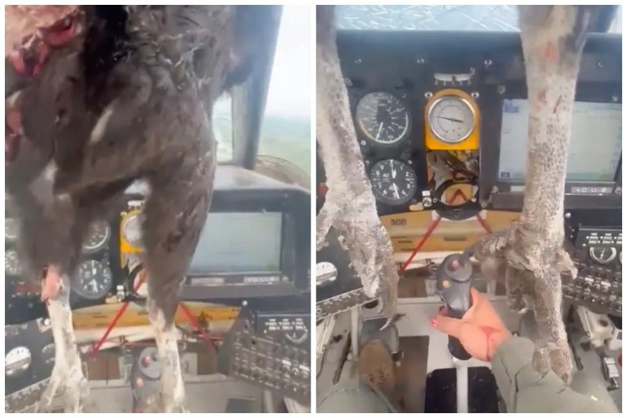 飛機駕駛員在飛行途中遭遇巨鳥撞擊擋風玻璃，但他臨危不亂，載著鳥屍平安降落。圖取自YouTube