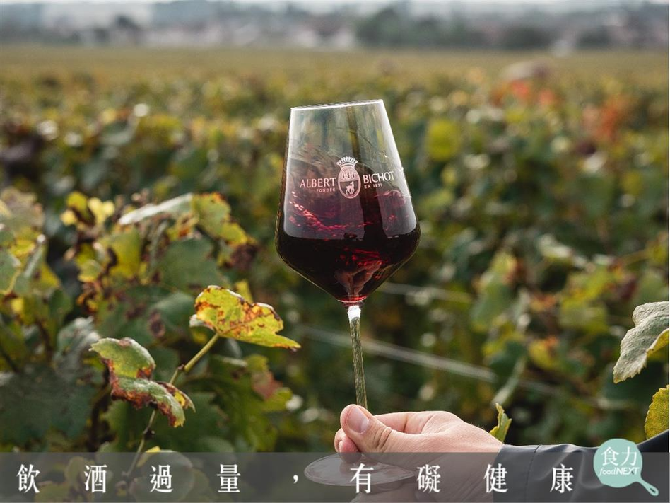 法國勃根地釀酒名門Albert Bichot致力於發展有機葡萄酒，以有機、自然來種植釀酒葡萄。 （圖片來源：Domaines Albert Bichot臉書粉絲專頁）