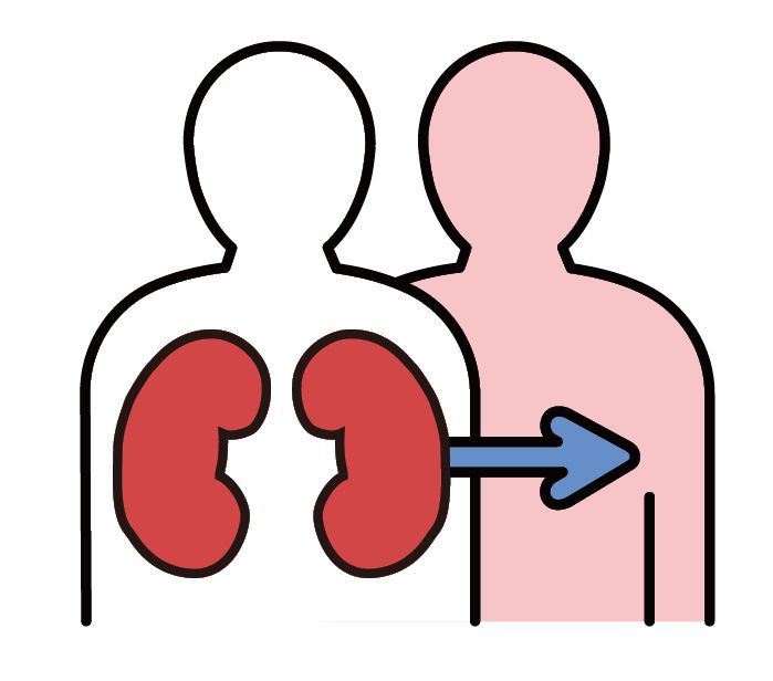 根據器官移植捐贈中心登錄，目前約8000多人等候腎臟移植。圖/123RF