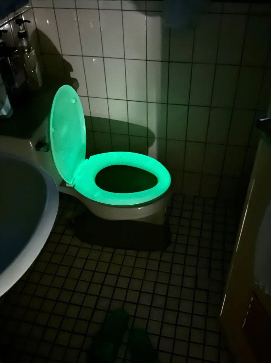 一名網友住在租屋處了一年，才發現自己的馬桶竟會在黑暗中「發出綠光」。圖擷自Dcard