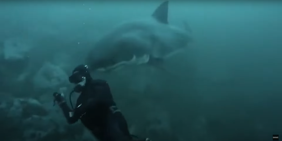 一名男子在海底愜意潛水，完全沒發現背後有一個黑影接近自己，等到黑影塊靠近時他才發現是一隻大白鯊，嚇得男子趕緊縮頭躲避，這才沒有被大白鯊的尖牙咬到。 (圖/取自影片)