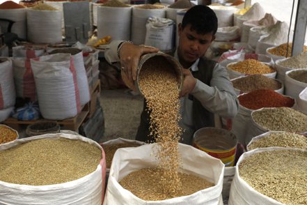 俄羅斯不讓烏克蘭穀物由黑海出口，勢必推高國際糧價，埃及與孟加拉等較貧窮國家首當其衝。  歐新社
