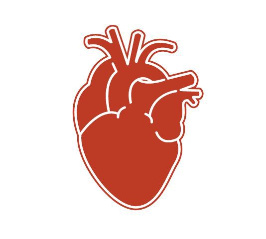 如果聽到長輩說：「最近心臟不好！」就要懷疑可能有心臟問題，應盡快做心臟檢查。示意圖/123RF