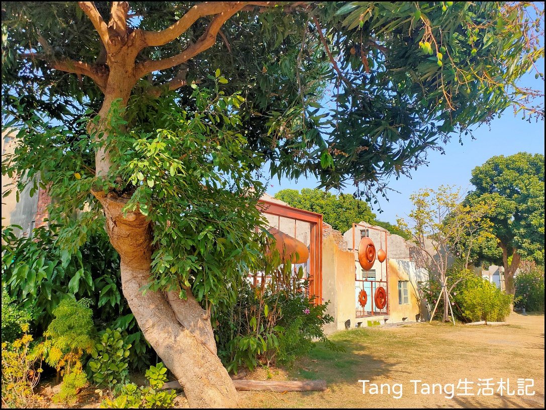 圖文：Tang Tang生活札記