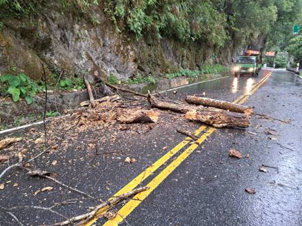 颱風帶來大雨，圖為台8線中橫公路沿線零星落石、倒木。圖／新城警分局提供