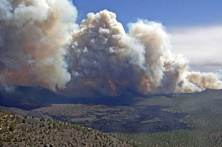 森林向來被視為可吸收碳排、有助對抗氣候變遷的絕佳工具，但近年來各地重大森林大火事故不斷，儼然成為氣候變遷的受害者，甚至成了排碳的一大來源，讓氣候變遷問題惡化。 美聯社