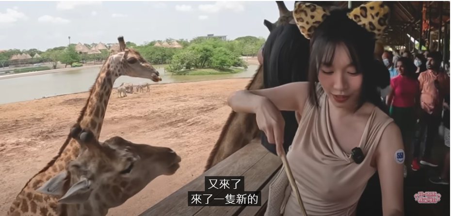 蘇暢挑戰激凸大逛動物園。圖／摘自YouTube
