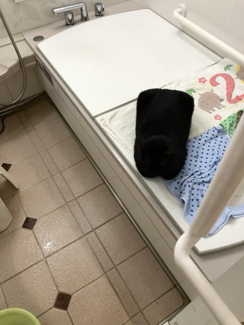 一名網友進到浴室中發現浴缸的蓋板上面出現一顆自己完全沒有印象有買過的黑色抱枕，他打算把抱枕拿下來卻摸到溫溫熱熱的觸感，翻過來一看竟是自家愛貓偽裝的。 (圖/取自X)