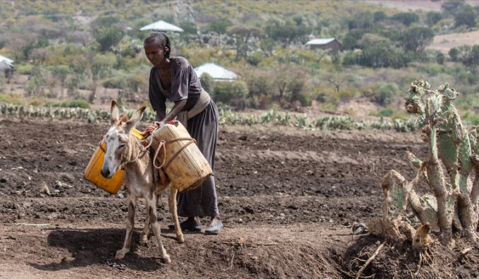 據樂施會（Oxfam）統計，已開發國家承諾提供給開發中國家的氣候資金遠遠不夠。 圖片來源：dMz／Pixabay