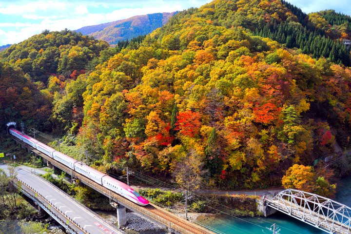 ▲搭乘舒適的列車，欣賞窗外滿山秋色，別有一番樂趣。　圖：JR東日本／提供