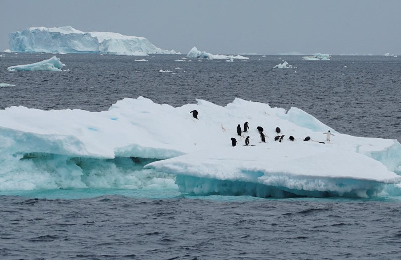 南極周圍海冰在今年冬天已創下新低。 圖／路透