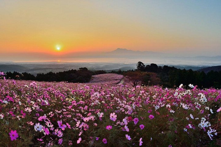 ▲白木峰高原的夕陽風景也十分迷人。　圖：長崎縣觀光連盟／提供