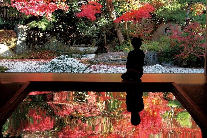 佐世保壽福寺的逆紅葉美景03 圖片提供：長崎縣觀光連盟