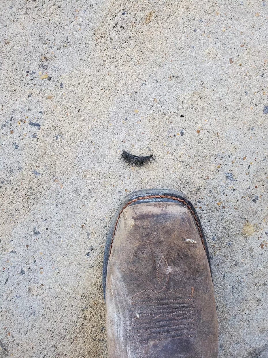 一名愛好昆蟲的男子日前在地上看到一隻詭異的炸毛黑色毛毛蟲在地上蠕動，第一次看到這種蟲的他好奇地拍下照片上傳到論壇上，結果慘被昆蟲專家打臉說這根本不是毛毛蟲。 (圖/取自Reddit)