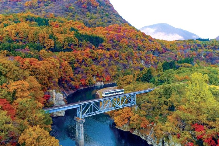 搭乘會津鐵道到訪下鄉町，秋季期間能欣賞滿山滿谷的楓紅絕景。　圖：福島縣下鄉町／來源