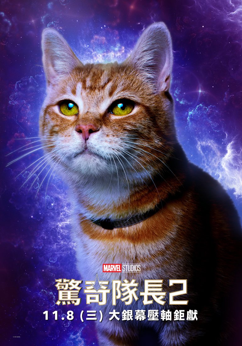 「驚奇隊長2」演員缺席無法宣傳，改由貓上陣。圖／迪士尼提供