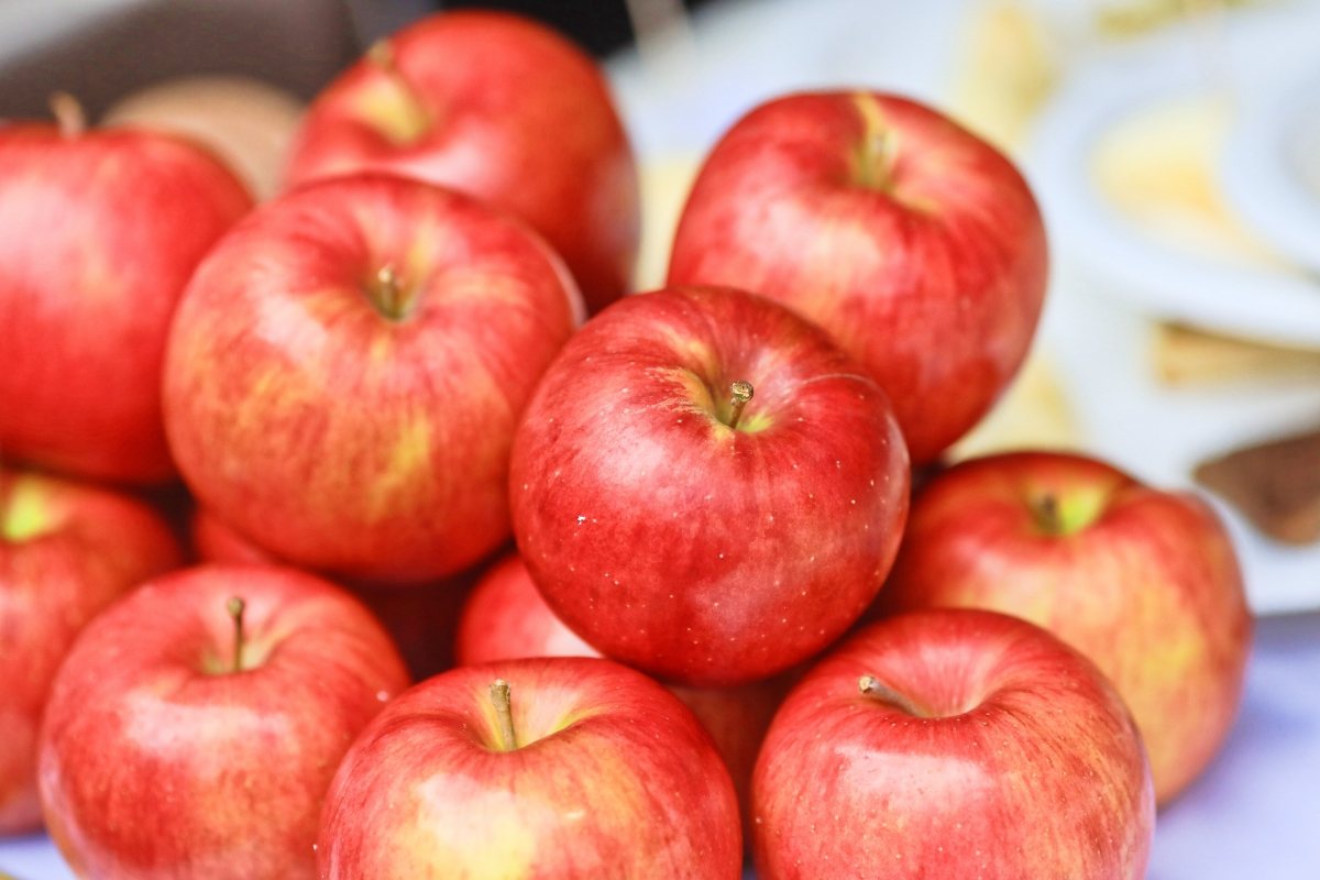 秋田縣以生產絕品蘋果聞名，尤其是橫手市和和鹿角市最具盛名。