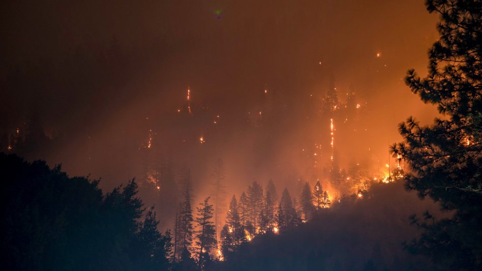 歐盟執委會發布數據，去年歐洲森林野火危害嚴重度是有統計以來第二糟。 圖／unsplash