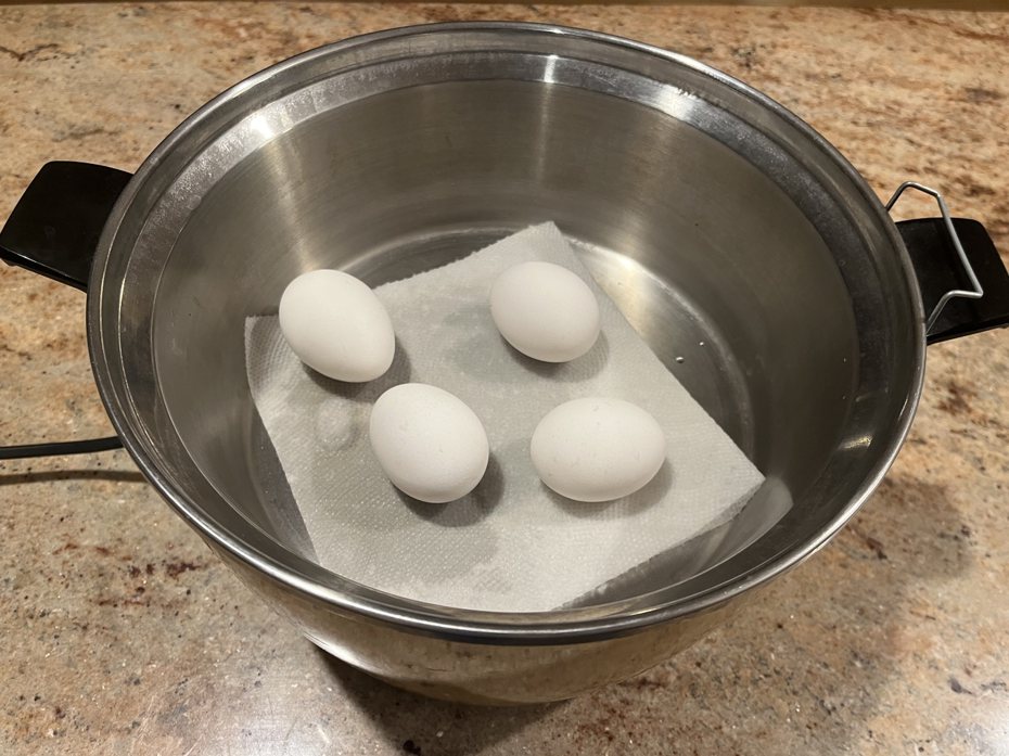 有網友上網發問，在家用水煮蛋認為電鍋占空間，特別買蒸蛋器是不是一種智商稅。 黃婕瑀