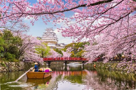 春遊日本，別錯過與櫻花來場浪漫相遇。　圖／shutterstock