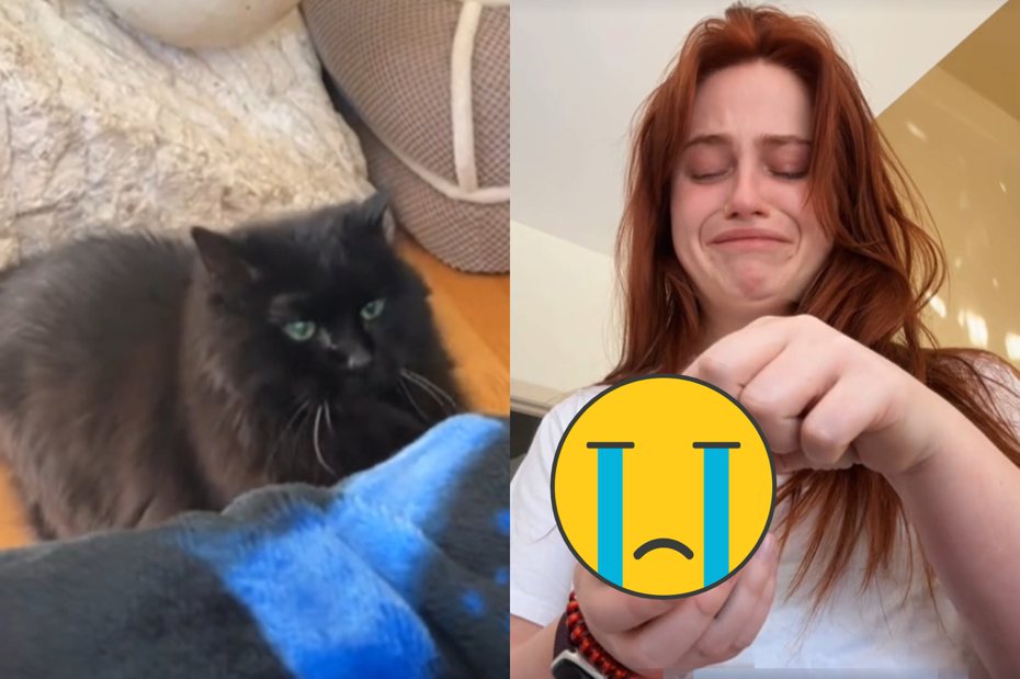 美國一位女子在21歲的愛貓逝世之後，收到一份由貓咪美容師送來的特別禮物──以愛貓的毛做成的各式貓毛氈，讓她感動到淚流滿面，直呼這是她這輩子收過最難忘的禮物。 圖/取自影片