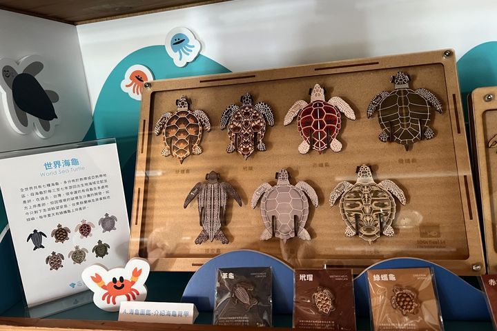 到訪小琉球，別忘了到小琉球遊客中心「世界海龜介紹」櫥窗一探究竟。　圖：大鵬灣國家風景區管理處／提供